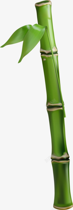 简约绿色竹子竹节素材