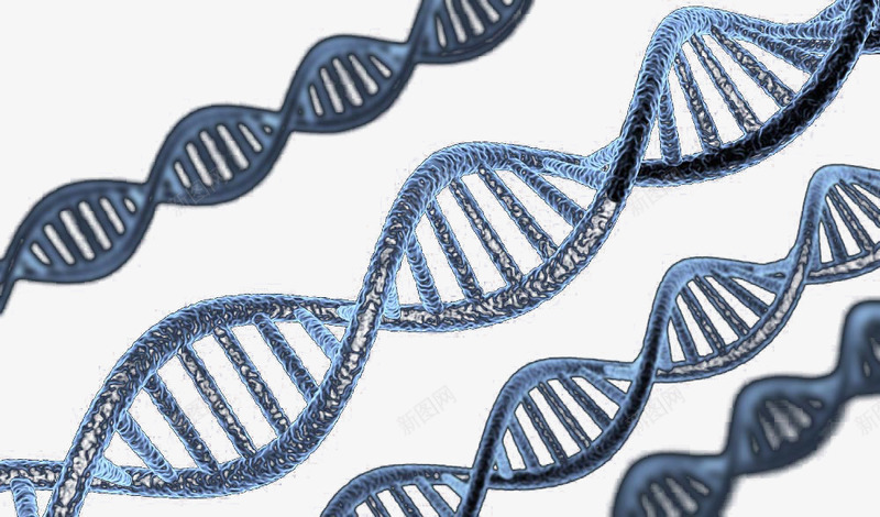 基因因子png免抠素材_88icon https://88icon.com 基因 基因链 遗传因子 遗传基因