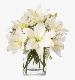 百合花卉花瓶高清图片