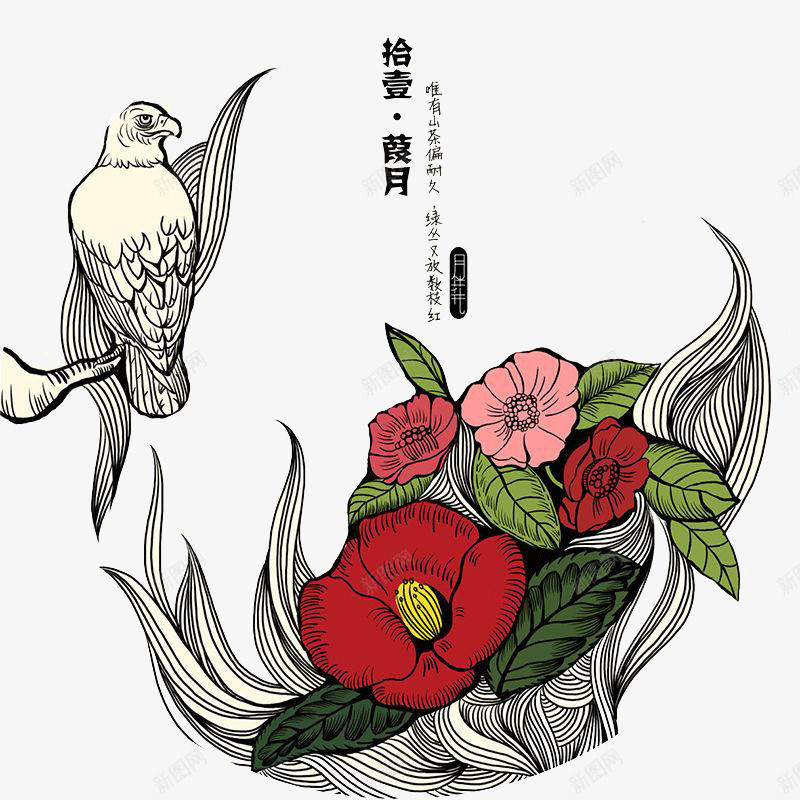 山茶花宣传图png免抠素材_88icon https://88icon.com 优质 山茶品种 山茶果 植物 花卉 茶香 颜色鲜艳