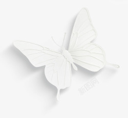 白色纸质蝴蝶素材