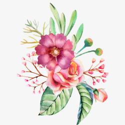 手绘水彩花朵花草装饰图案素材