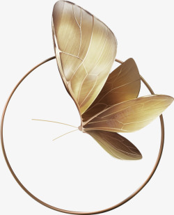 金色蝴蝶带圆圈素材