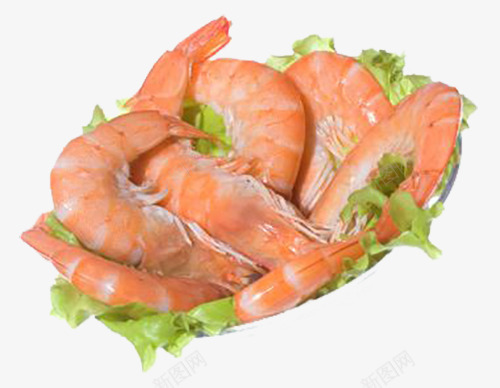 一堆白灼虾png免抠素材_88icon https://88icon.com 一堆白灼虾 水煮虾 海鲜 海鲜虾 煮虾 生菜 白灼虾