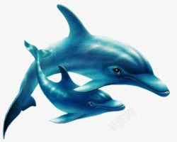 蓝色卡通海底动物鲨鱼素材