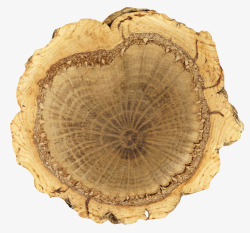 深棕色粗糙圆环木头截面实物素材