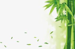 绿色竹子竹筒背景环保竹子叶落高清图片