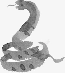 十二生肖蛇蛇高清图片