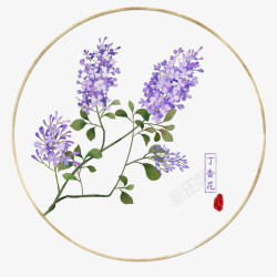 花卉插图手绘圆形唯美中国风丁香花插图免高清图片