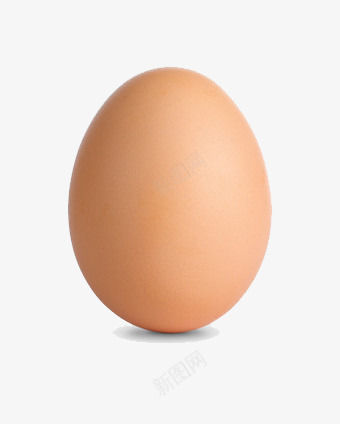 一个鸡蛋png免抠素材_88icon https://88icon.com 一个 鸡蛋 椭圆 站立 美食 营养食物