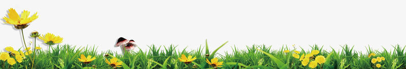 草地美景春天草丛png免抠素材_88icon https://88icon.com 春天 美景 草丛 草地 草地贴图