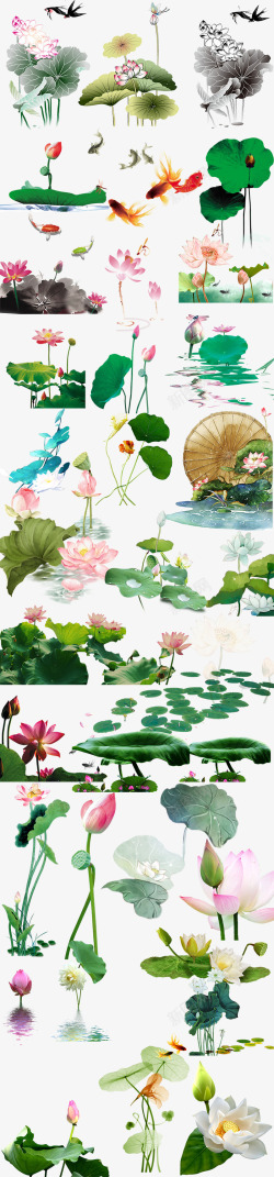 绿色花苞手绘水墨荷花透明背景高清图片