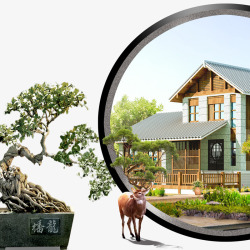 小盆栽松树中国风庭院江南别院中式别墅高清图片