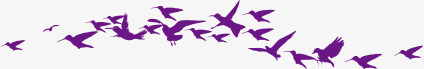 紫色飞鸟剪影png免抠素材_88icon https://88icon.com 紫色 飞鸟 剪影 艺术 合成 鸟群 