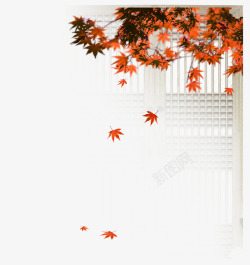 枫叶门窗中国风图案素材
