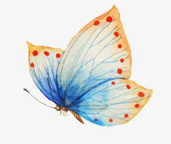 蓝色春天渐变色的花蝴蝶高清图片