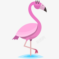 粉色火烈鸟插画矢量图素材