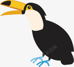 巴西鸟类卡通图素材