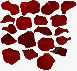 花瓣红色玫瑰花花瓣大集合漂浮素材