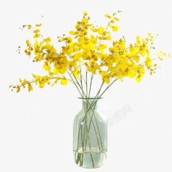 黄色跳舞兰仿真花假花装饰花素材