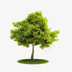 绿色小树集市素材