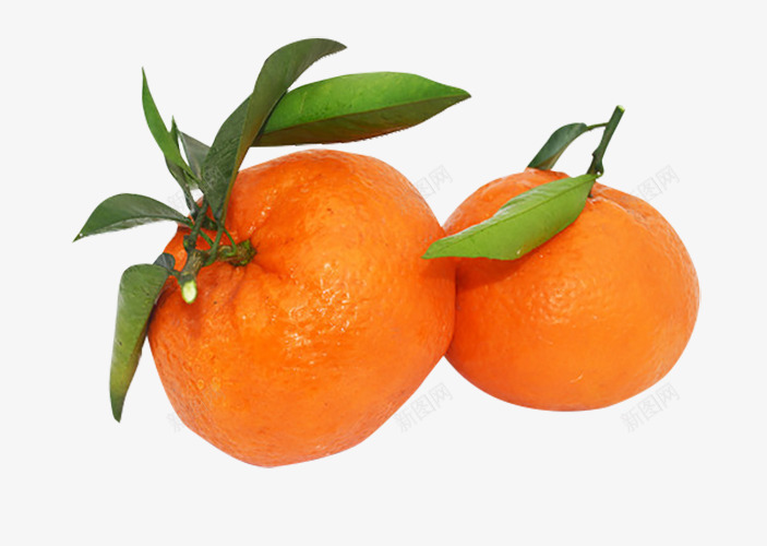 美味的橘子实物图png免抠素材_88icon https://88icon.com 叶子 实物图 桔梗 橘子 水果 美味的 食物