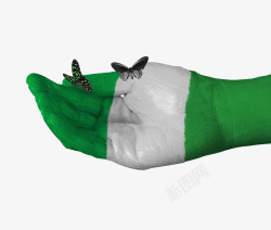 创意尼日利亚国旗手绘蝴蝶图案素材