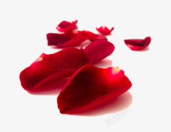 暗红色彩绘玫瑰红色的花瓣高清图片