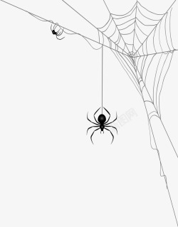 蜘蛛黑色线条蜘蛛网高清图片