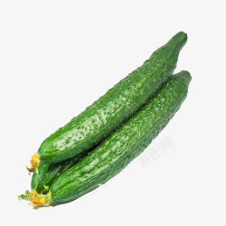 绿皮新鲜的黄瓜高清图片