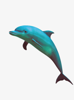 蒸汽波风格海豚模型素材