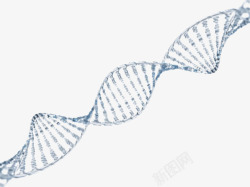 灰色dna遗传物质基因肽链脱氧素材