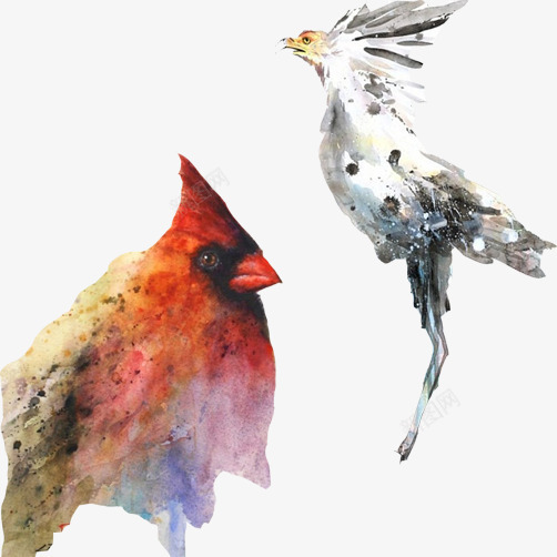 鸟类水彩画合集png免抠素材_88icon https://88icon.com 彩绘画 水彩 野鸡 鹧鸪鸟