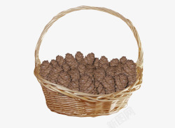 棕色手工装了植物果子的篮子编织素材