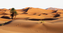 美丽黄昏美丽的沙漠景色高清图片