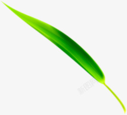 向上倾斜绿色竹叶素材