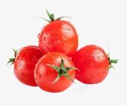 番茄樱桃实物新鲜带藤水珠樱桃番茄高清图片
