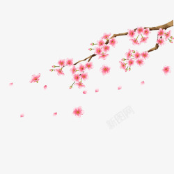 梅花装饰图案素材