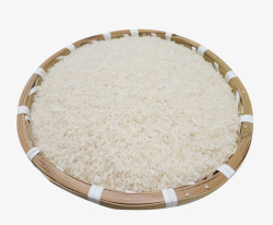 珍珠米一盆珍珠米高清图片