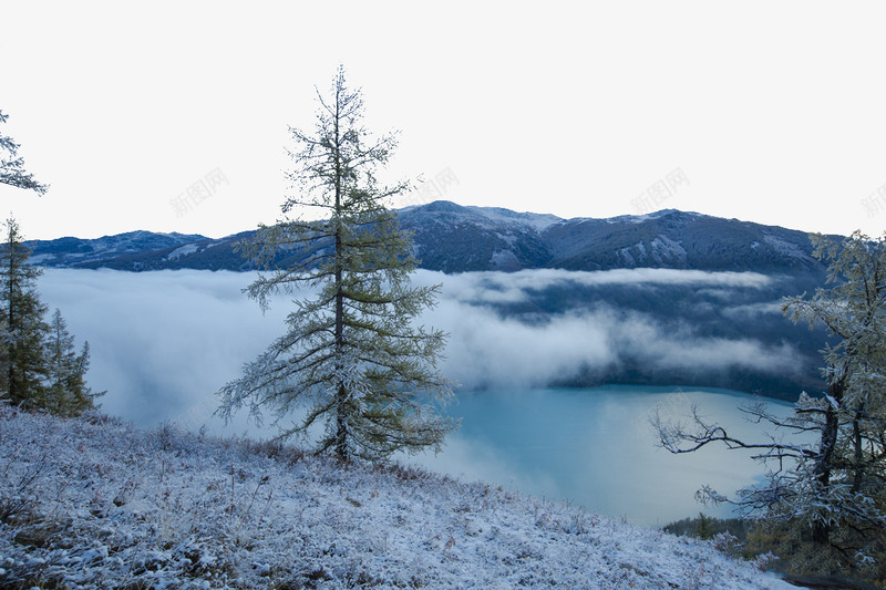 喀纳斯雪景png免抠素材_88icon https://88icon.com 名胜古迹 喀纳斯 图片素材库 地方景点 实物图 摄影图 景点素材 松树 白云 自然景观 雪 雪景 高清图片