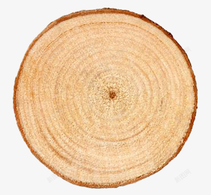 树的年轮png免抠素材_88icon https://88icon.com 原木色 大树 实木年轮 年轮 木材 树干 树的年轮 树纹年轮 横切面 自然年轮纹理