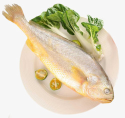 水产海鲜菜大黄鱼高清图片