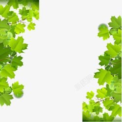 唯美背景图片对称的修饰绿色扁平化唯美枫树叶高清图片