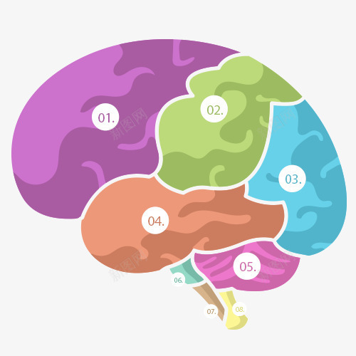 颜色分块大脑血管psd免抠素材_88icon https://88icon.com 大脑卡通图 大脑手术 大脑矢量图 大脑细胞康复 大脑脑血管 大脑高清图 脑血管 血液大脑 颜色分块大脑血管