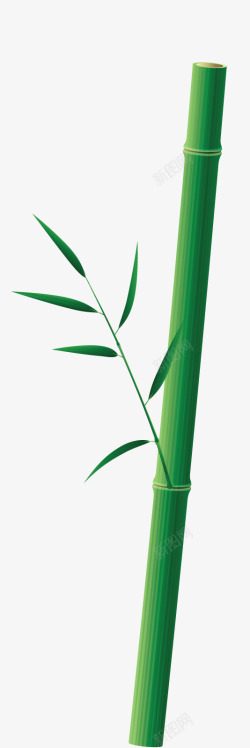 一根竹子竹叶素材