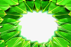 绿色粽子叶圆形背景素材