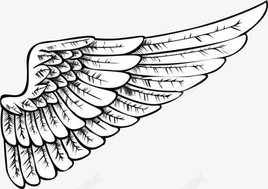 天使塔罗牌半边手绘细致的天天使之翼矢量图图标图标