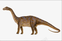 长尾巴恐龙长尾巴恐龙高清图片