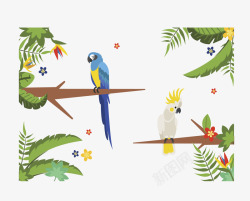 热带雨林彩色鹦鹉矢量图素材