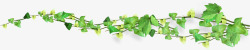 小清新藤蔓背景春天绿叶藤蔓植物清新装饰高清图片